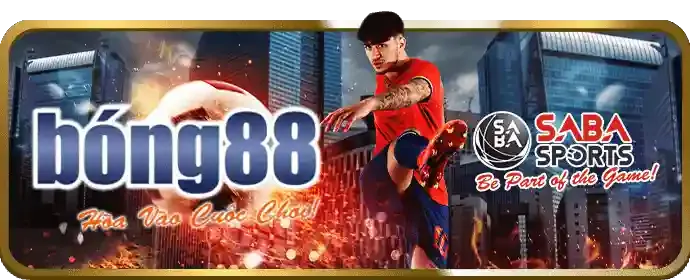 Chương trình hoàn trả hàng tuần cho cá cược bóng đá